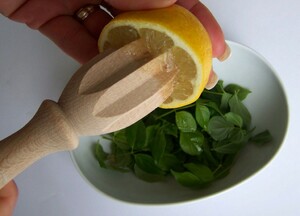 Citrus squeezer